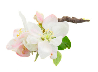 Similar image 10469578