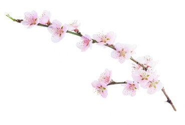 Similar image 10469580