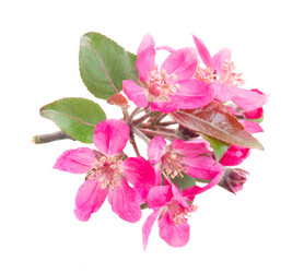 Similar image 10469581