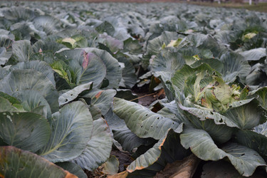 Similar image 10469584