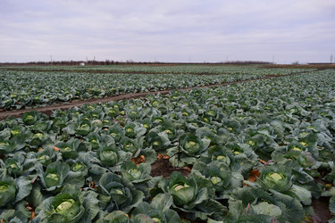 Similar image 10469587