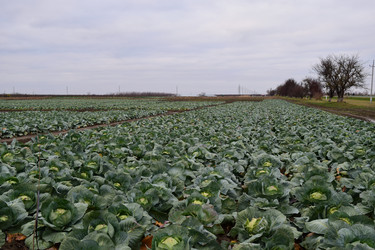 Similar image 10469588