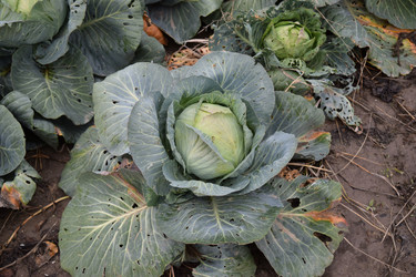 Similar image 10469589