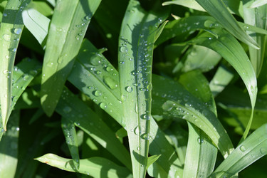 Similar image 10469652