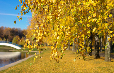 Similar image 10469680