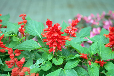 Similar image 10469683