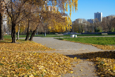 Similar image 10469690