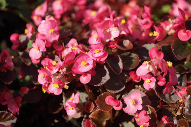 Similar image 10469693