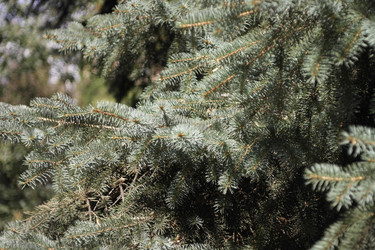 Similar image 10469701