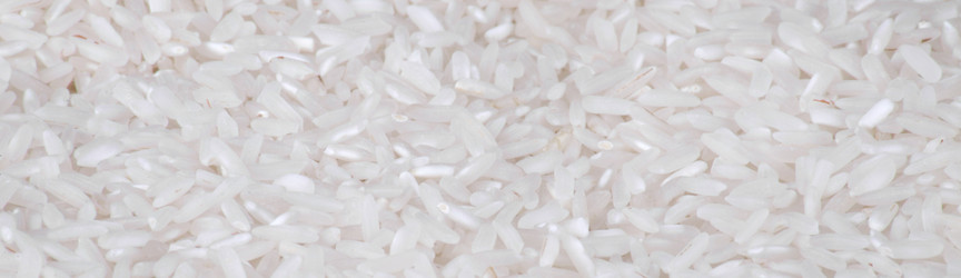 Similar image 10469723