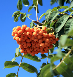 Similar image 10469731