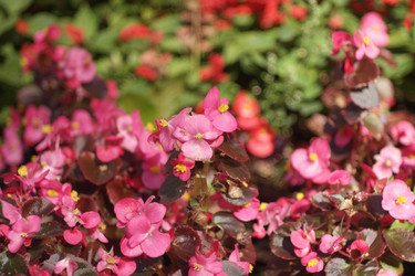 Similar image 10469734