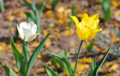 Similar image 10469736