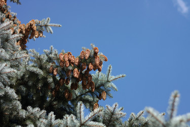 Similar image 10469744