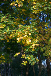 Similar image 10469756