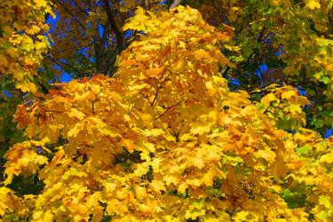 Similar image 10469757