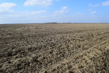 Similar image 10469782