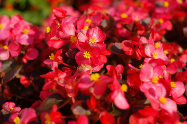 Similar image 10469790