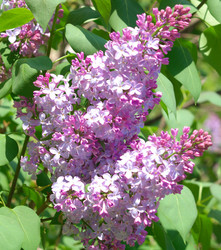 Similar image 10469791