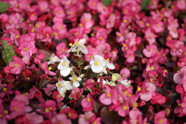 Similar image 10469794