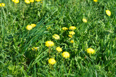 Similar image 10469831