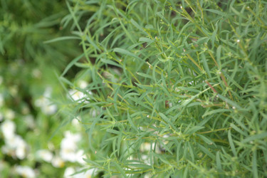 Similar image 10469836