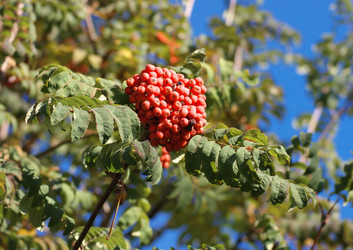 Similar image 10469851