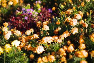 Similar image 10469854