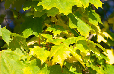 Similar image 10469855