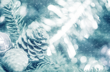 Similar image 10469880