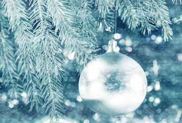 Similar image 10469883