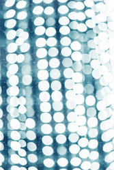 Similar image 10469913