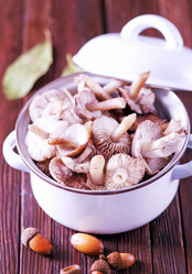 Similar image 10470282