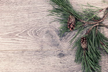 Similar image 10470304