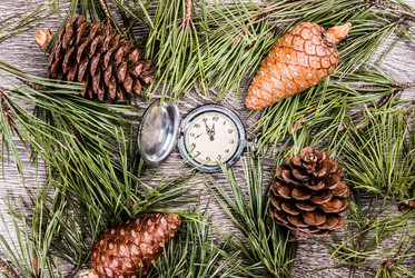 Similar image 10470339