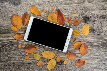 Similar image 10470355