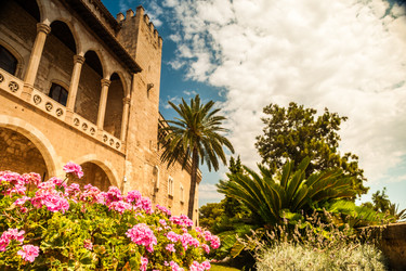 Similar image 10470364