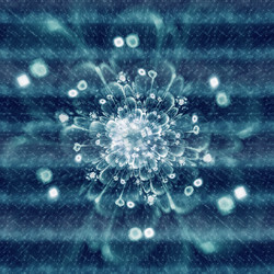 Similar image 10470496