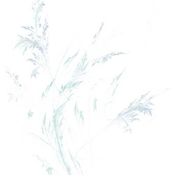 Similar image 10470497