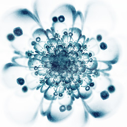 Similar image 10470499