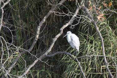 Similar image 10471375