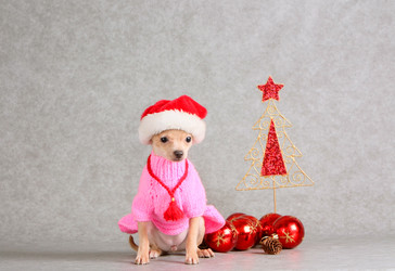 Similar image 10471462