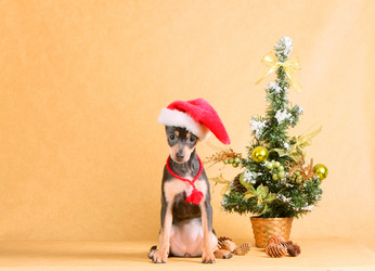 Similar image 10471463