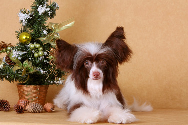 Similar image 10471464