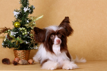 Similar image 10471465