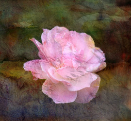 Similar image 10471551