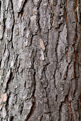 Similar image 10471552