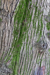 Similar image 10471553