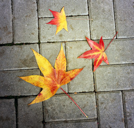 Similar image 10471554