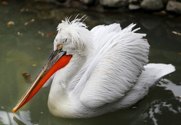 Similar image 10471556